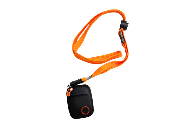 Lanyard